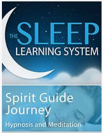 The Sleep Learning System