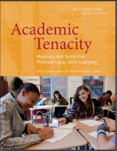 academic tenacity